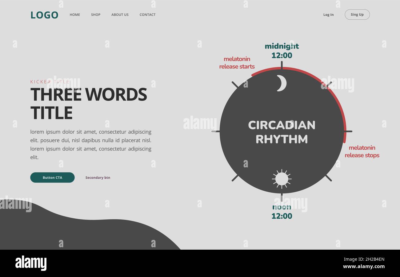 Modello di sito web del ritmo circadiano. Design UI UX. Infografica del rilascio dell'ormone della melatonina. Orologio biologico di esseri umani. Biodinamica e temporizzazione della luce. Illustrazione Vettoriale
