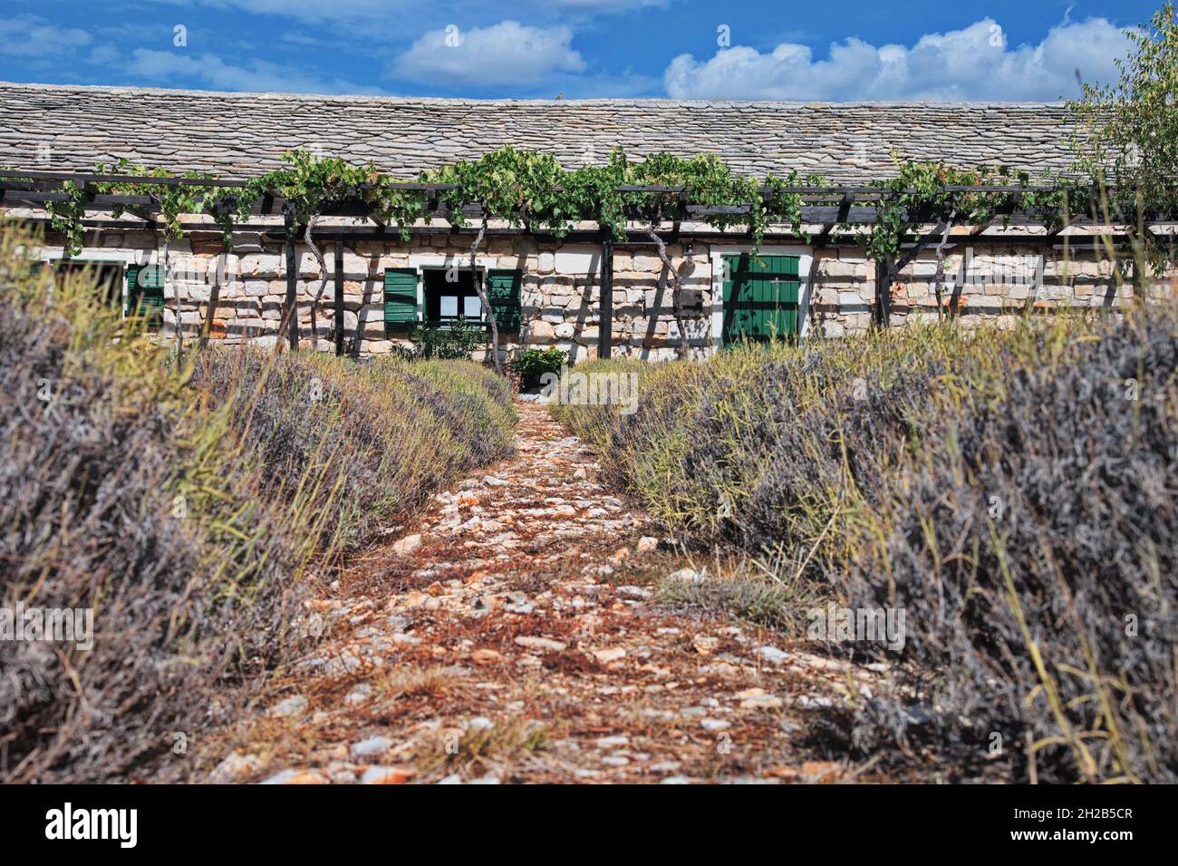 Casa in pietra in campagna con campo di lavanda di fronte Foto Stock
