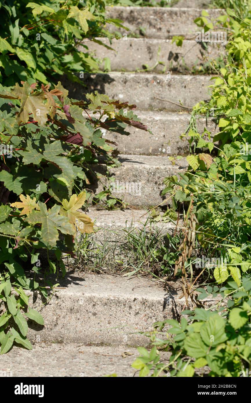 Vecchia scala in pietra, gradini, Germania Foto Stock