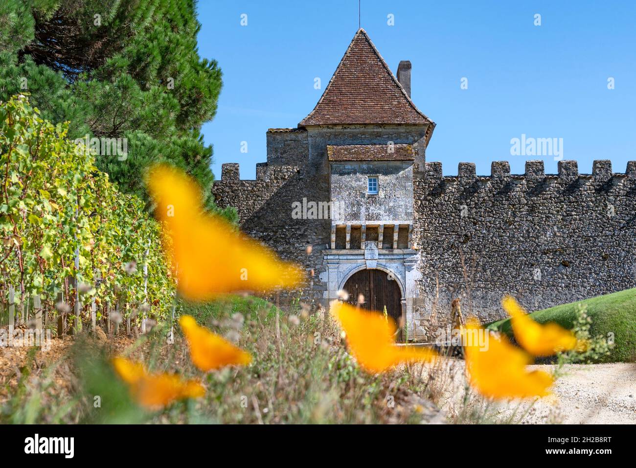 L'Château d'Yquem di Sauternes è una delle aziende vinicole più squisite del mondo... e più costose... per la Francia Foto Stock