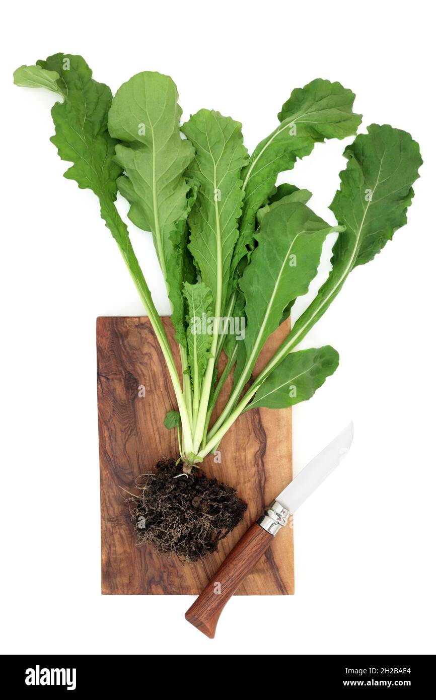 Pianta fresca di rucola con foglie verdi e radice di terreno con coltello su tavola di legno d'oliva. Sistema immunitario che amplifica cibo per la salute. Foto Stock