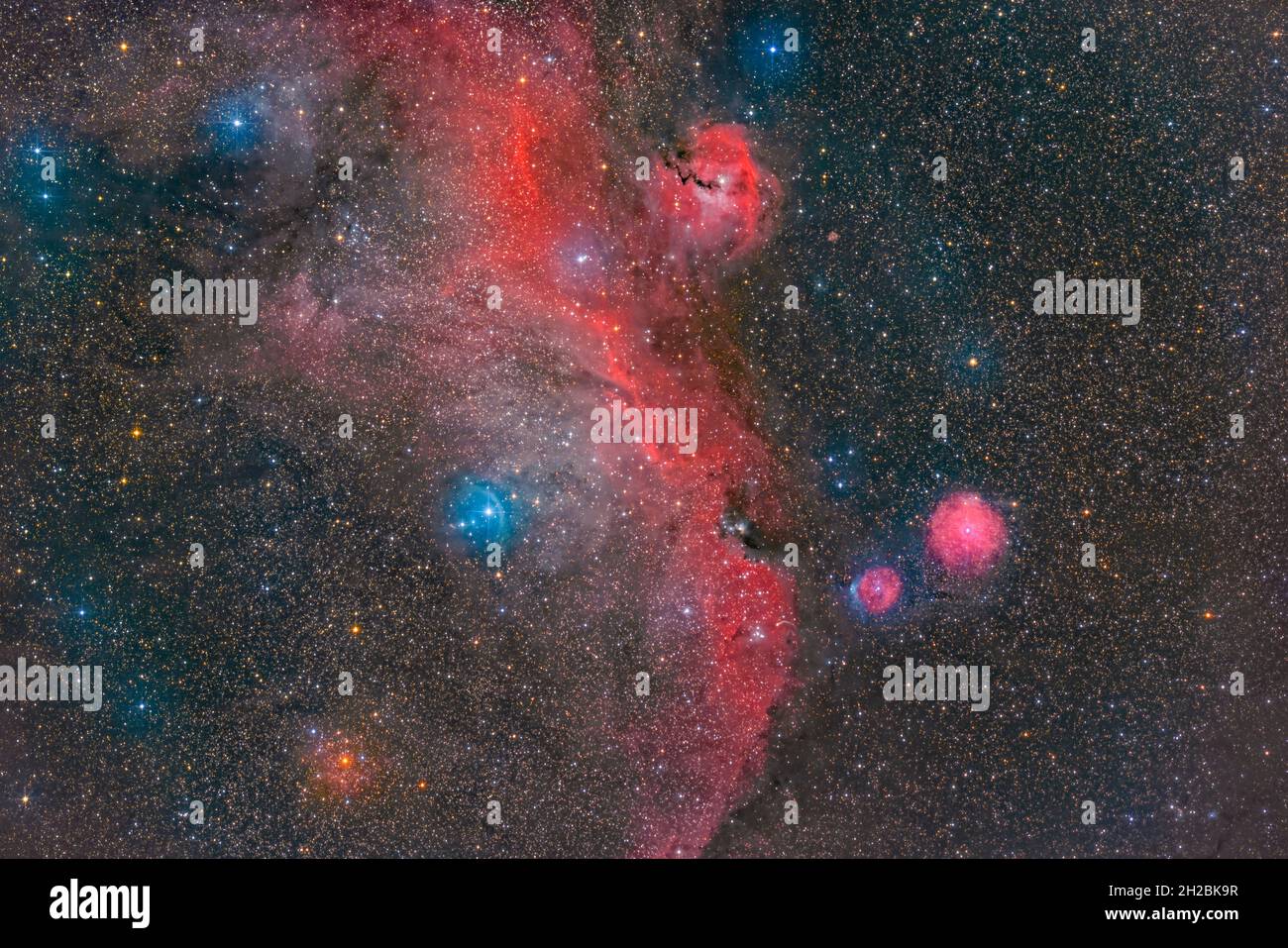 Seagull Nebula IC2177 Foto Stock