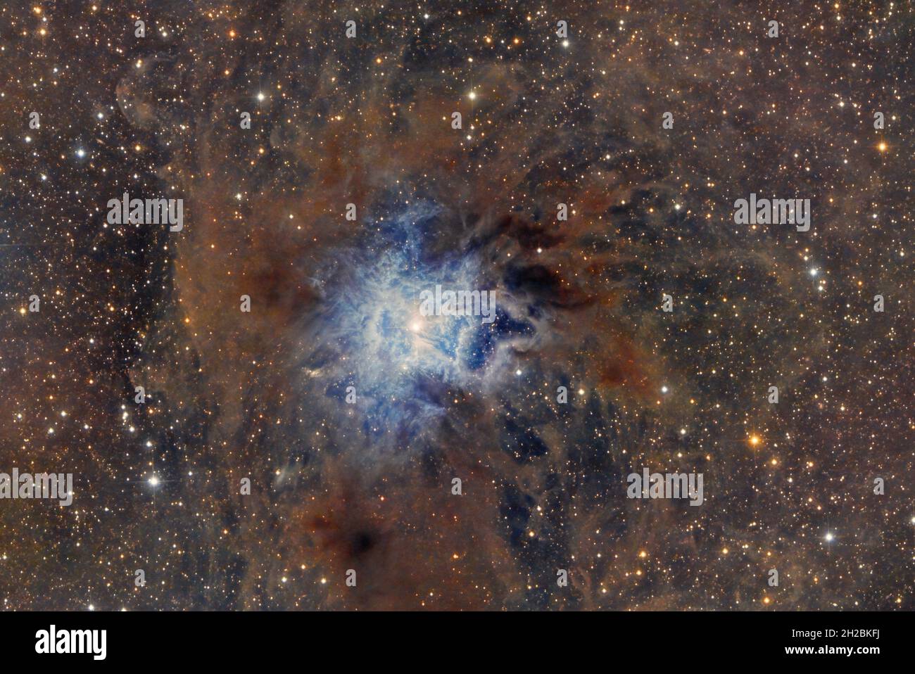 Iris Nebula NGC7023 Foto Stock
