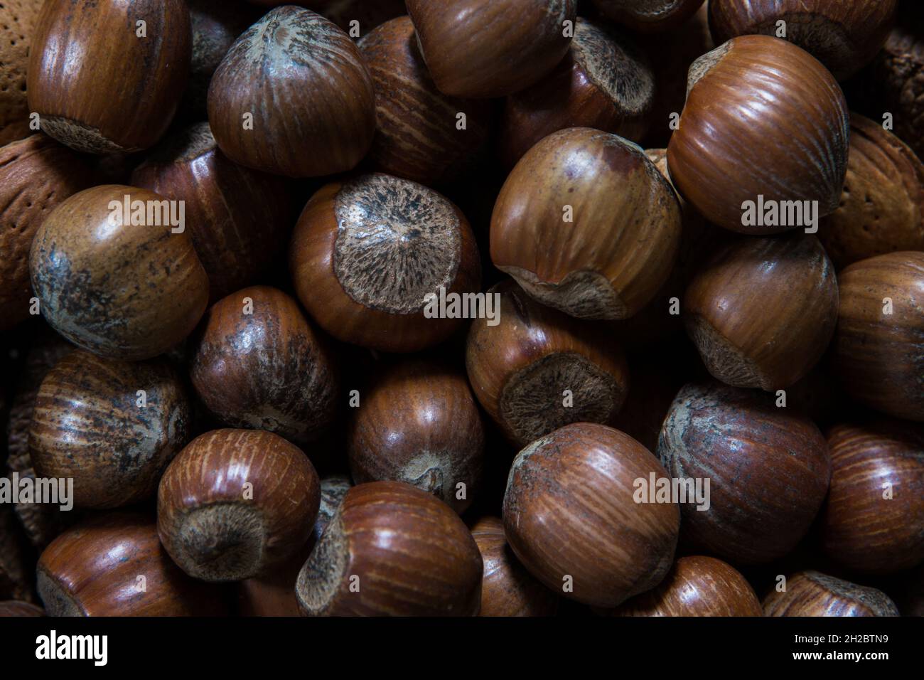 Sfondo nocciola. Nutrizione sana per uno stile di vita sano Foto Stock