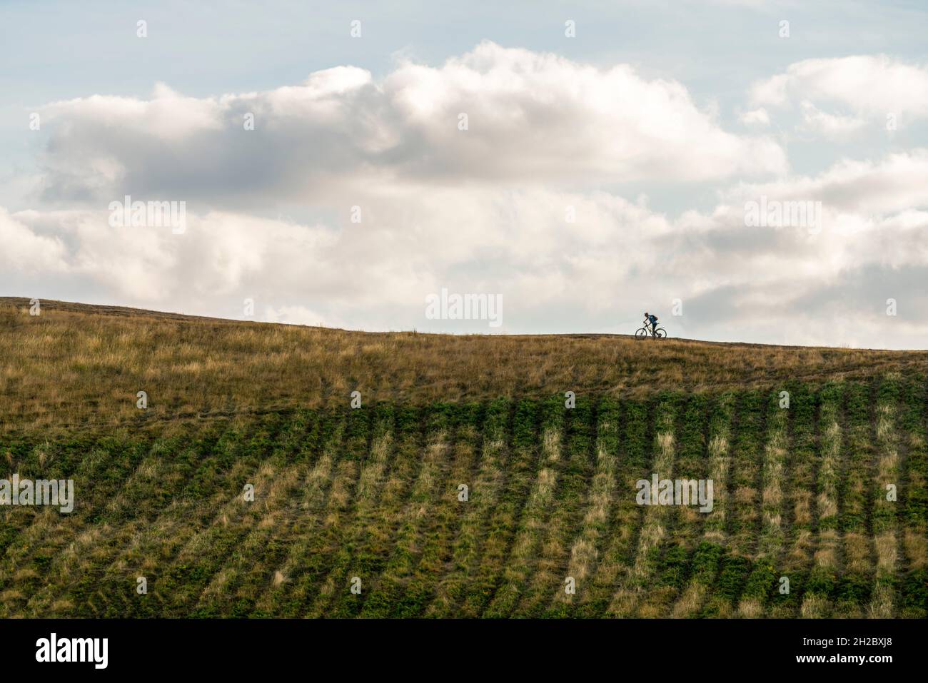 Silhouette di un mountain bike che corre lungo le colline Malvern, Great Malvern, Worcestershire, UK Foto Stock