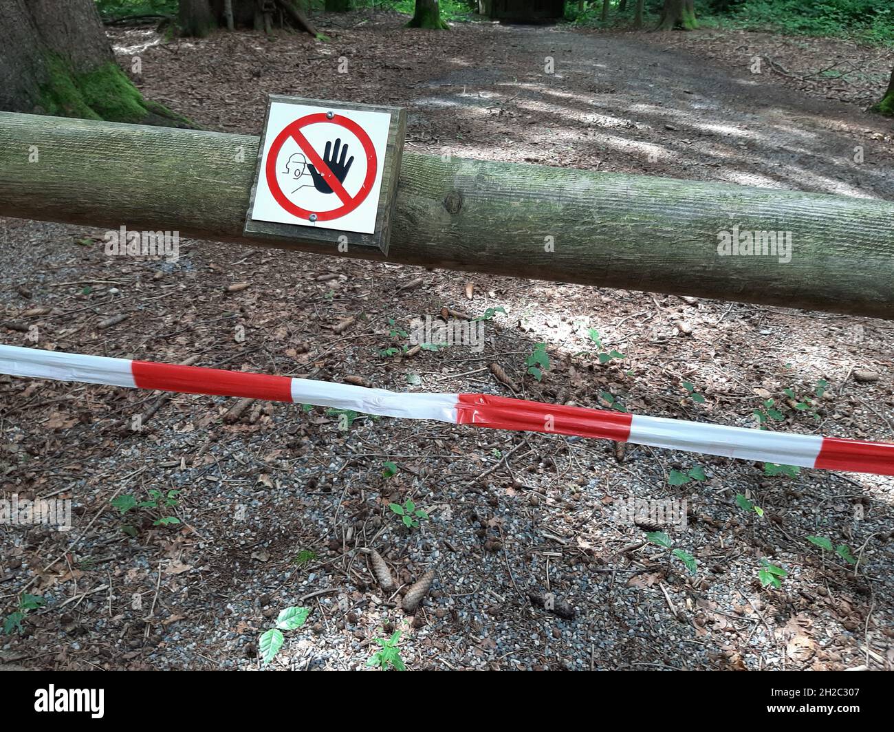 Barriera per le opere forestali, Germania Foto Stock