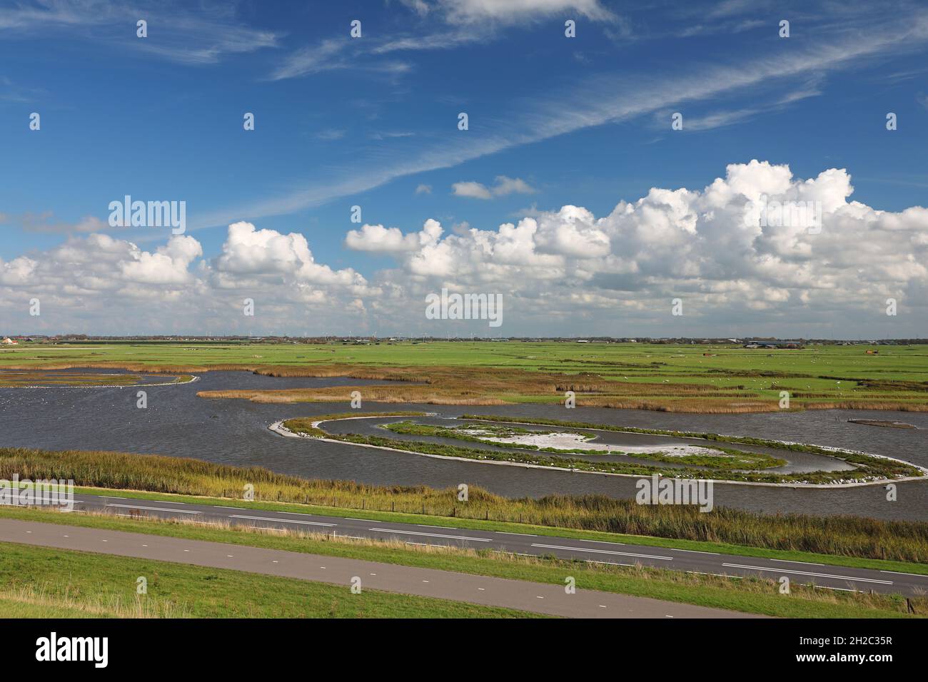 Nuova isola organizzata per terns, Paesi Bassi, Paesi Bassi del Nord, NSG De Putten, Camperduin Foto Stock