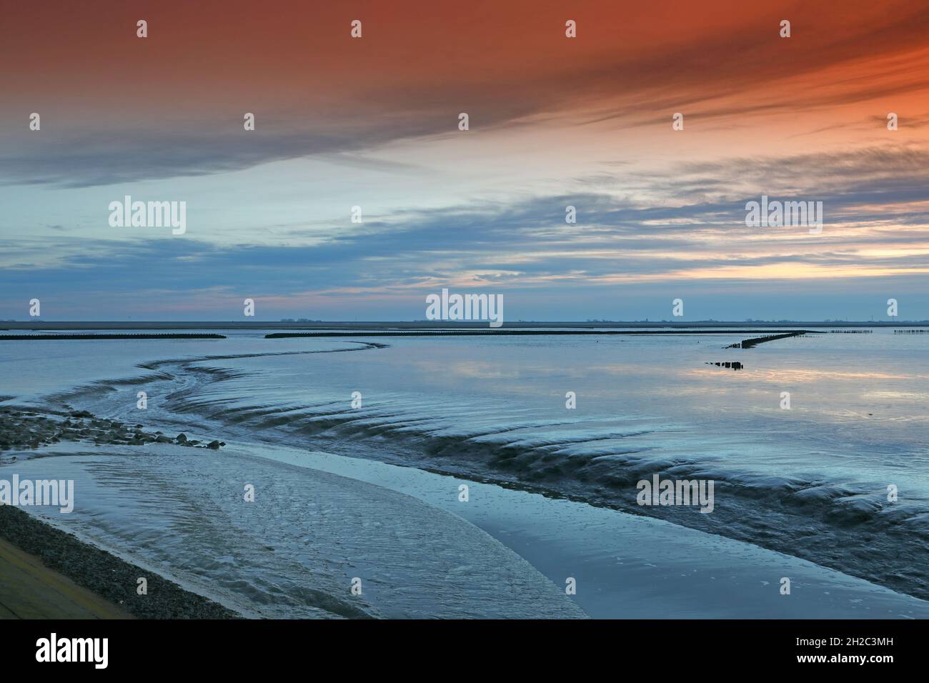 Mare di Wadden con la via al tramonto, Paesi Bassi, Frisia, Holwerd Hafen Foto Stock