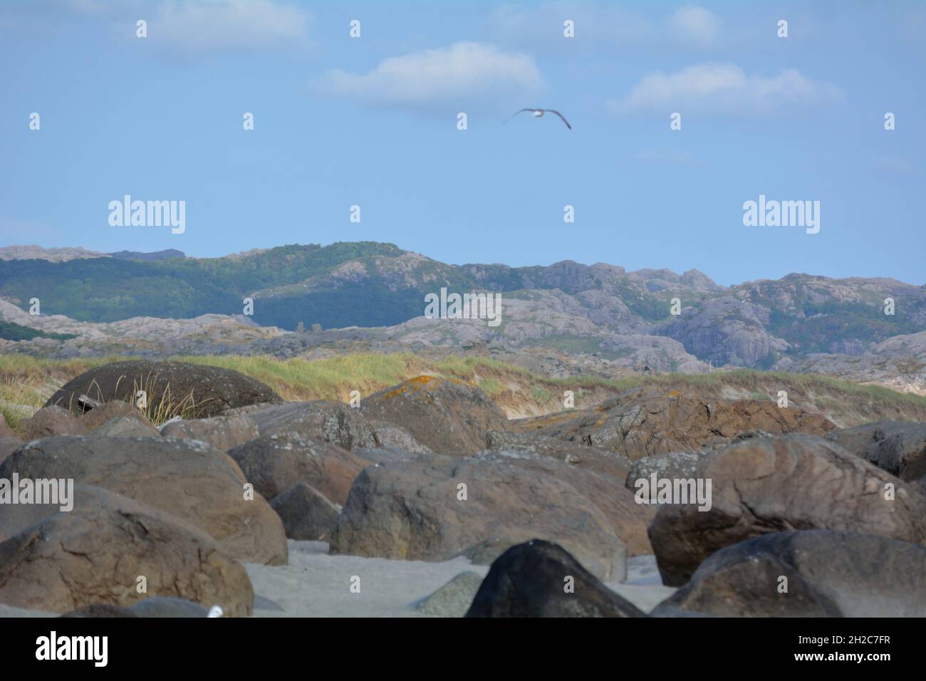 Quattro strati di paesaggio con un uccello che passa vicino. Foto Stock