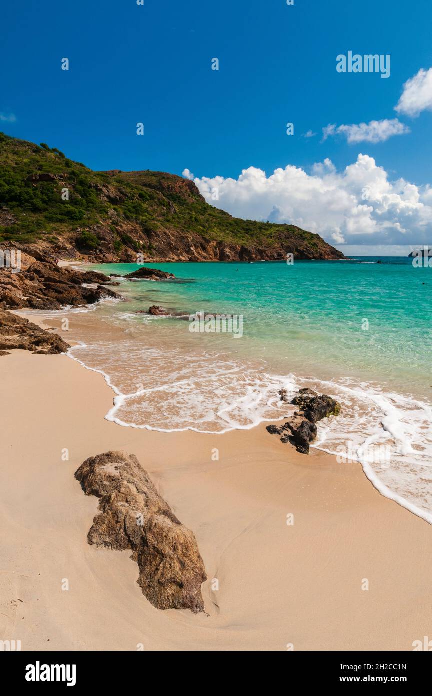 Le acque caraibiche nuotano su un tratto appartato di Anse de Grande Saline Beach. Saint Barthelemy, Indie Occidentali. Foto Stock