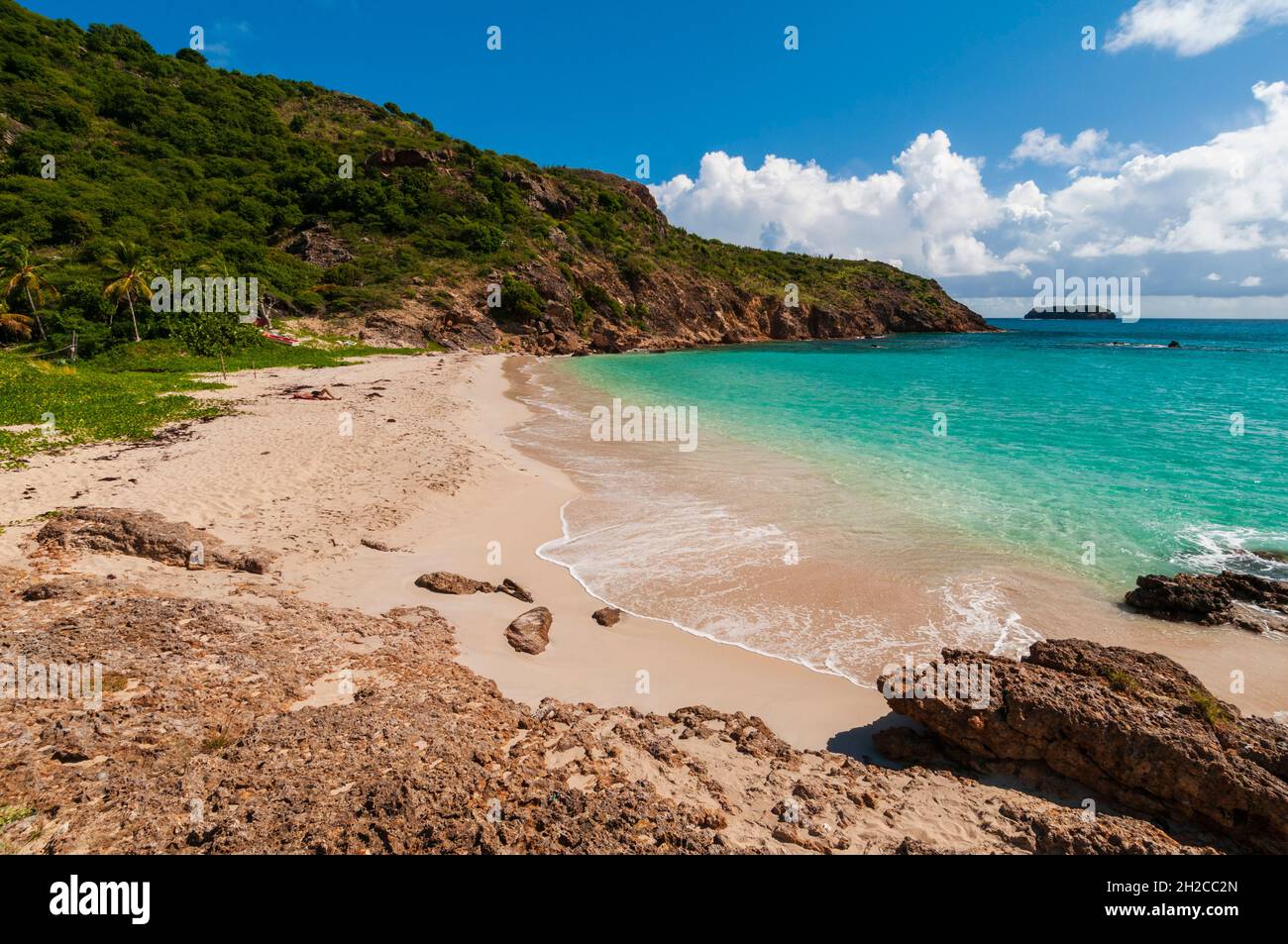 Il dolce surf caraibico si snonde su un tratto appartato di Anse de Grande Saline Beach. Saint Barthelemy, Indie Occidentali. Foto Stock