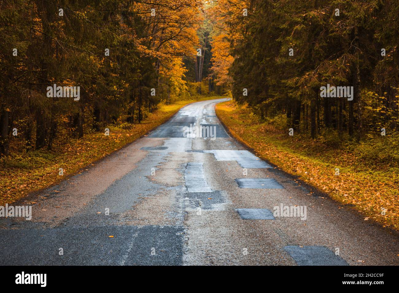 apparentemente infinita strada di campagna curva con alberi in autunno Foto Stock