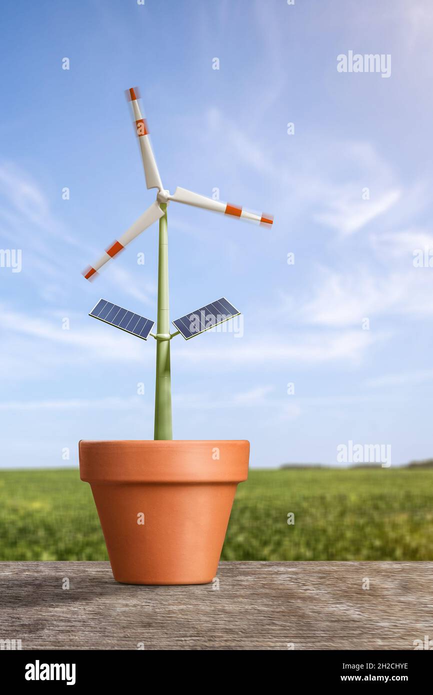 Concetto di generazione di energia verde - turbina eolica come pianta in un vaso di fiori Foto Stock
