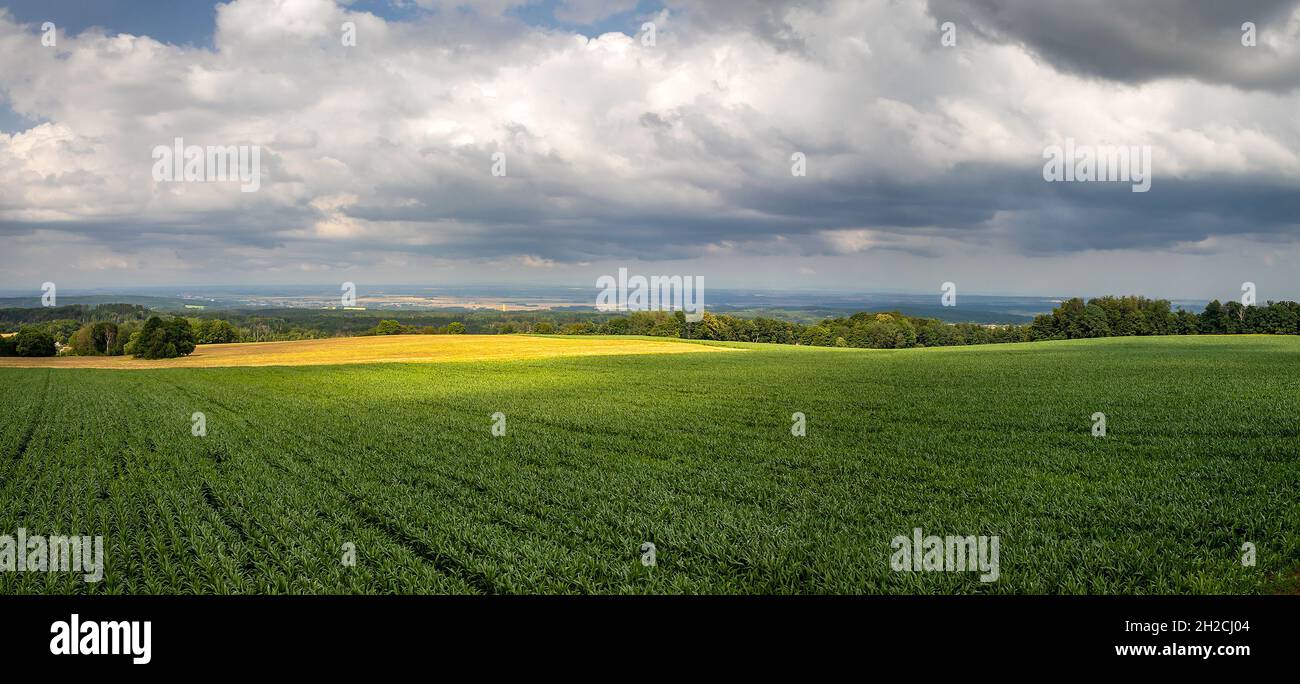panorama paesaggio con un campo, illuminato dal sole splendente, cielo nuvoloso Foto Stock