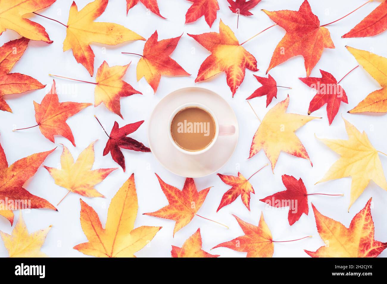 Tazza di caffè e foglie d'autunno, vista dall'alto, piatto. Concetto di caduta. Foto Stock