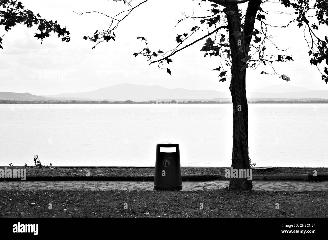 Un cestino isolato sotto un albero in un parco sul Lago Trasimeno (Umbria, Italia, Europa) Foto Stock