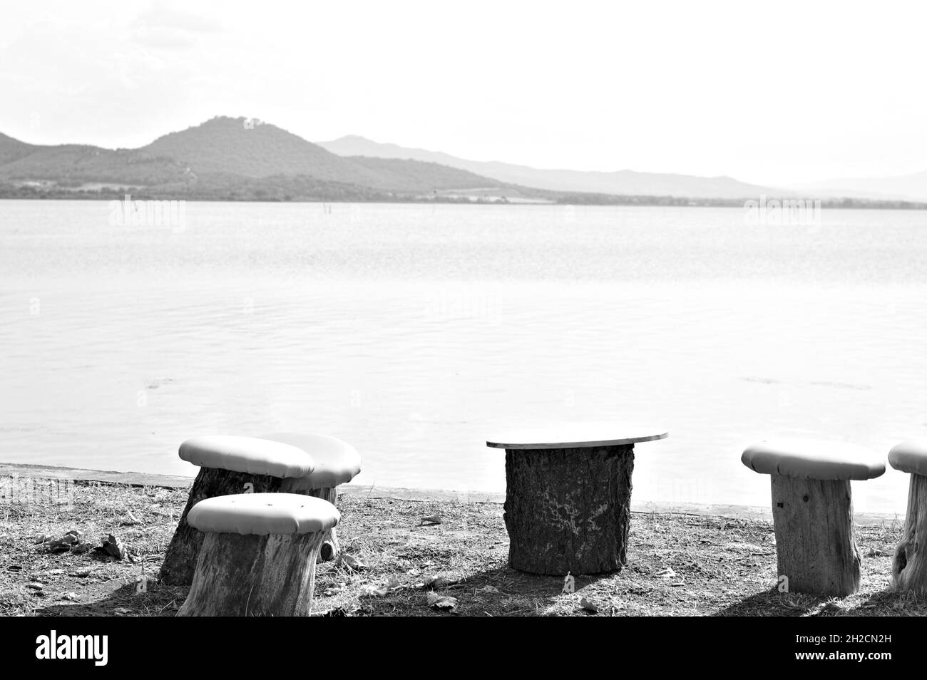 Sedi a fungo in tronchi di legno lungo la riva del Lago Trasimeno (Umbria, Italia, Europa) Foto Stock