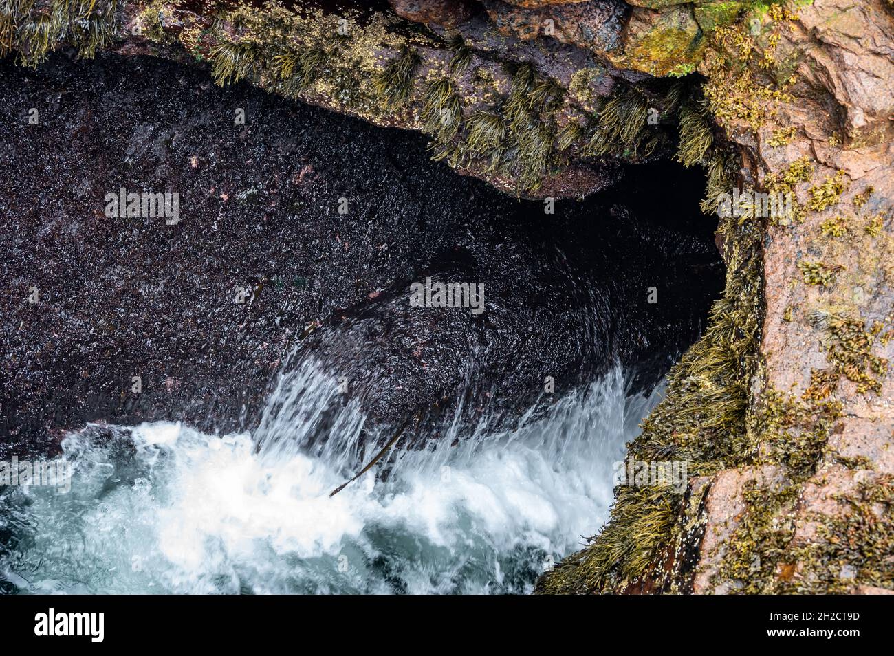 Le onde di marea crescente si infrangono in un'insenatura di roccia naturale chiamata Thunder Hole nel Parco Nazionale di Acadia, Maine, USA. Foto Stock