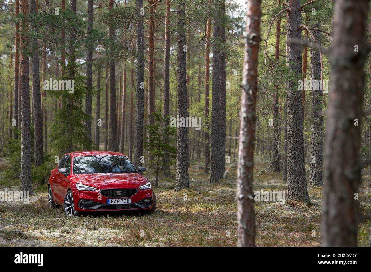 Seat Leon Seat FR ETSI Foto: Anders Wiklund / TT / codice 10040 Foto Stock