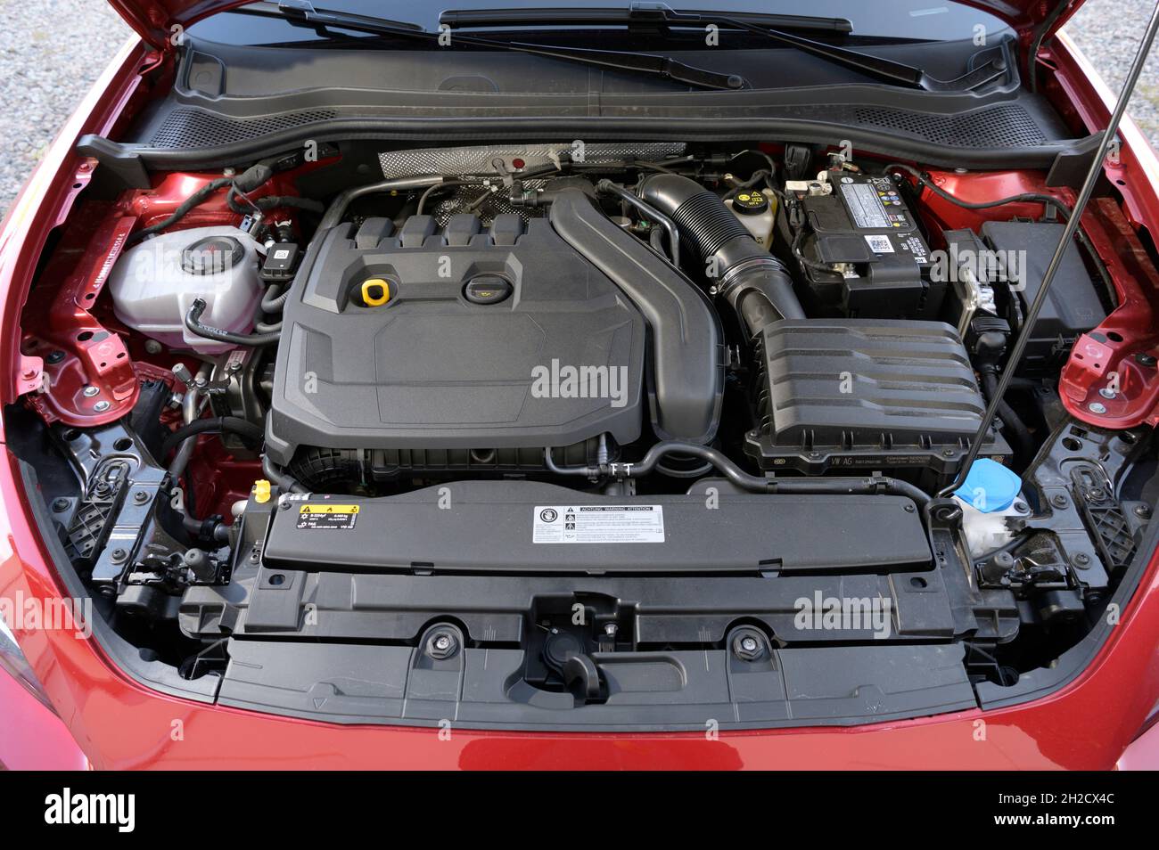 Seat Leon Seat FR ETSI, motore Foto: Anders Wiklund / TT / codice 10040 Foto Stock