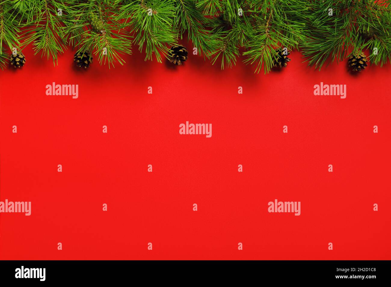 Banner natalizio di rami di abete con coni su fondo rosso con posto per il testo Foto Stock