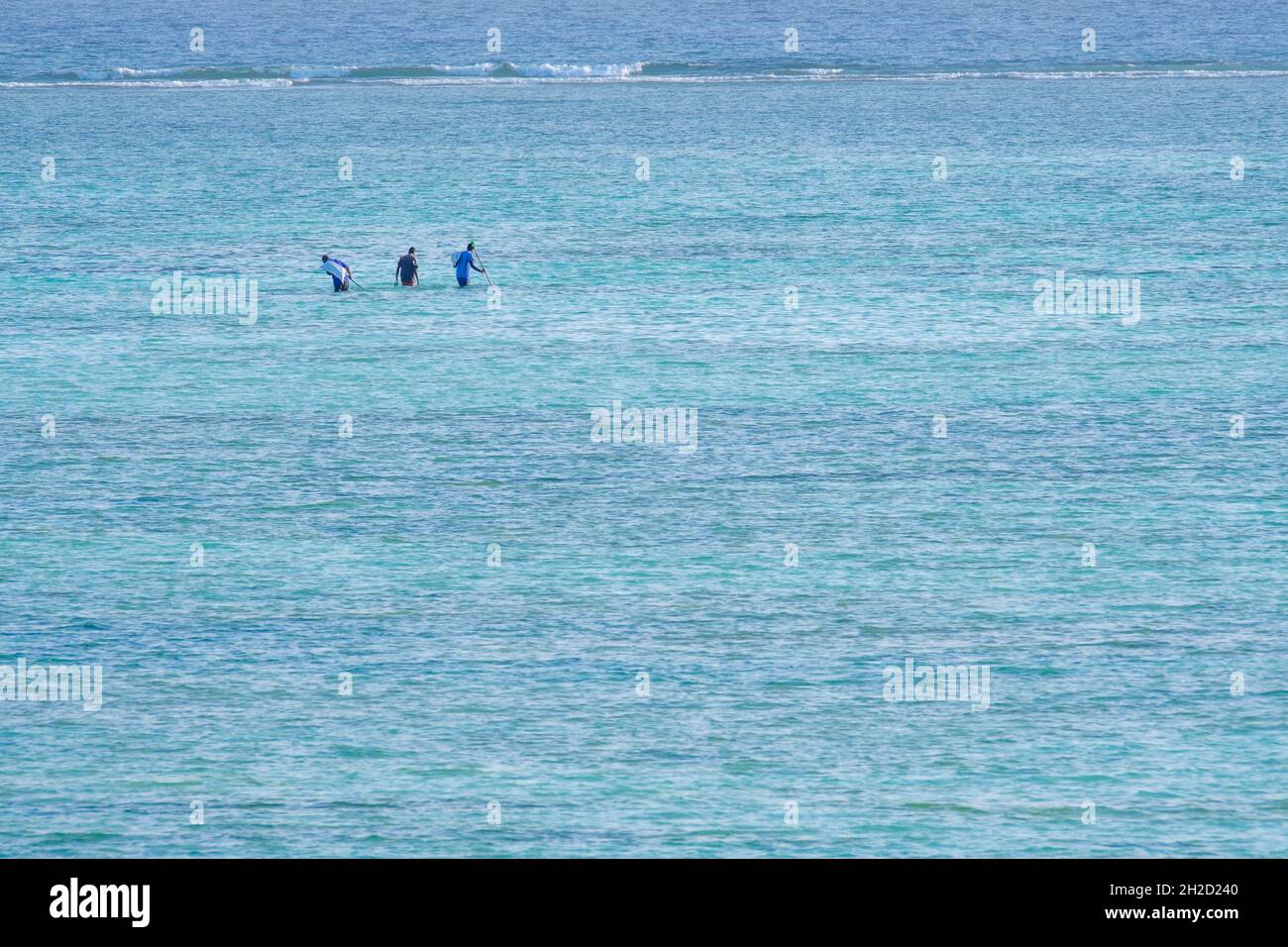 La gente locale raccoglie frutti di mare nella laguna. Zanzibar, Tanzania, Africa Foto Stock