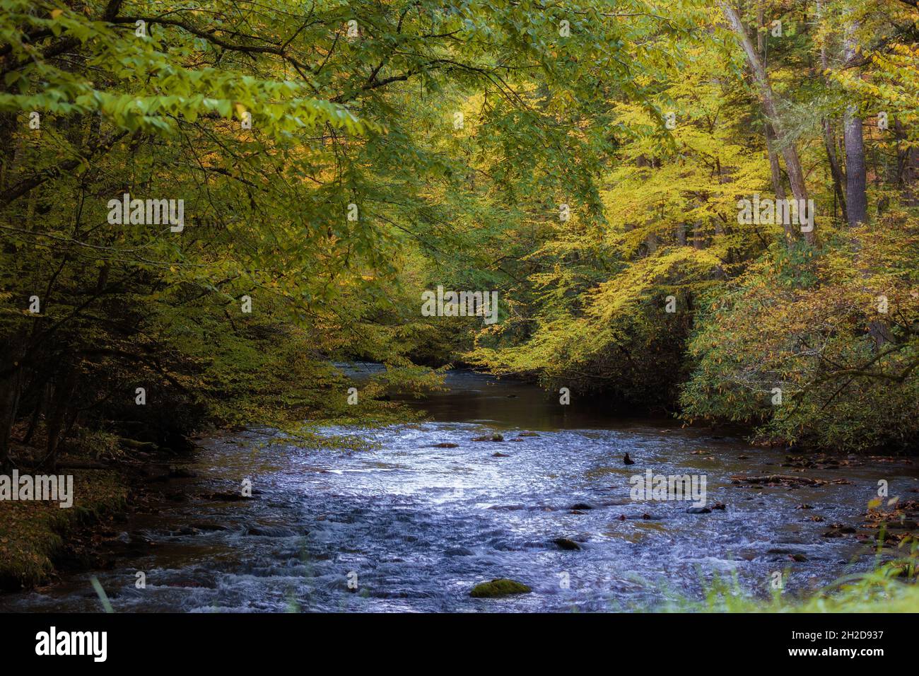 Colori autunnali nelle bellissime valli del Big Cataloochee e Little Cataloochee nelle Smoky Mountains del North Carolina, USA. Foto Stock