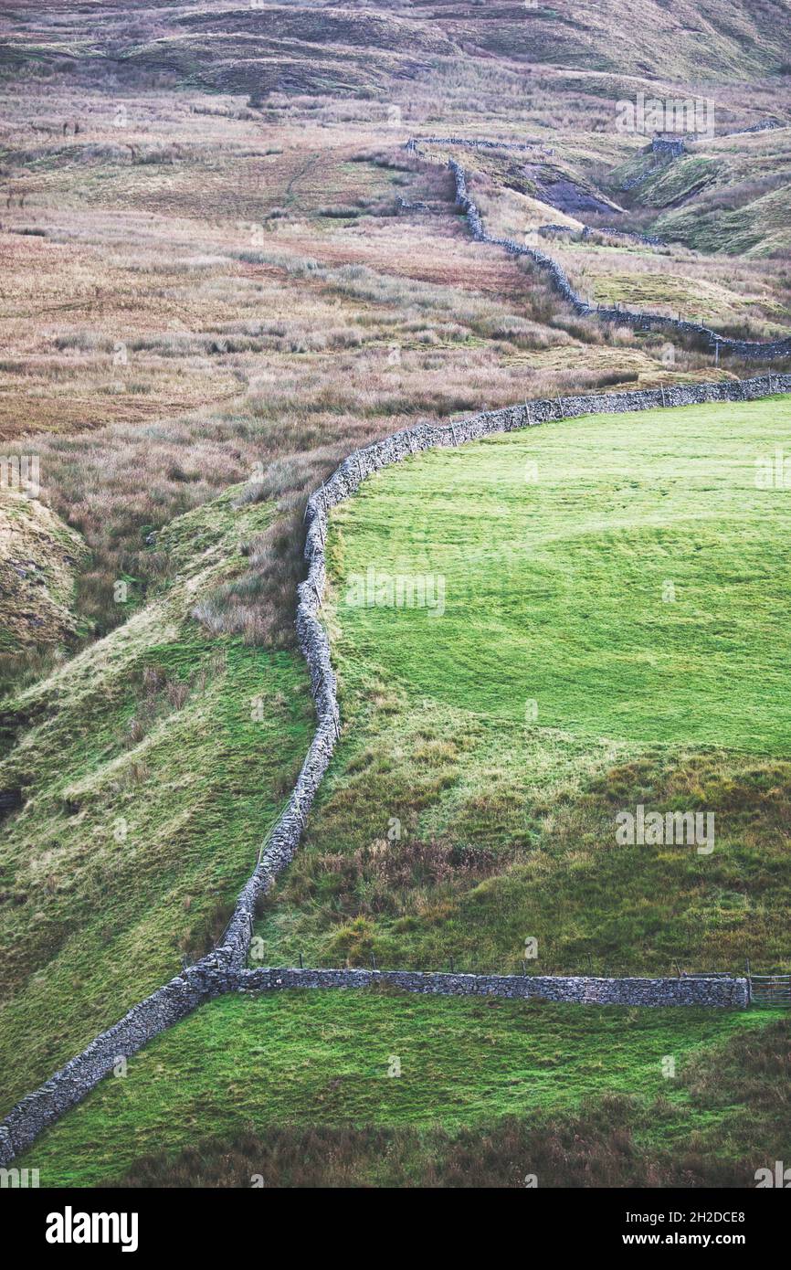 Tradizionali pareti in pietra asciutta che separano la terra su una collina aspro in Swaledale, Yorkshire Dales National Park, Richmondhsire, North Yorkshire, Inghilterra Foto Stock