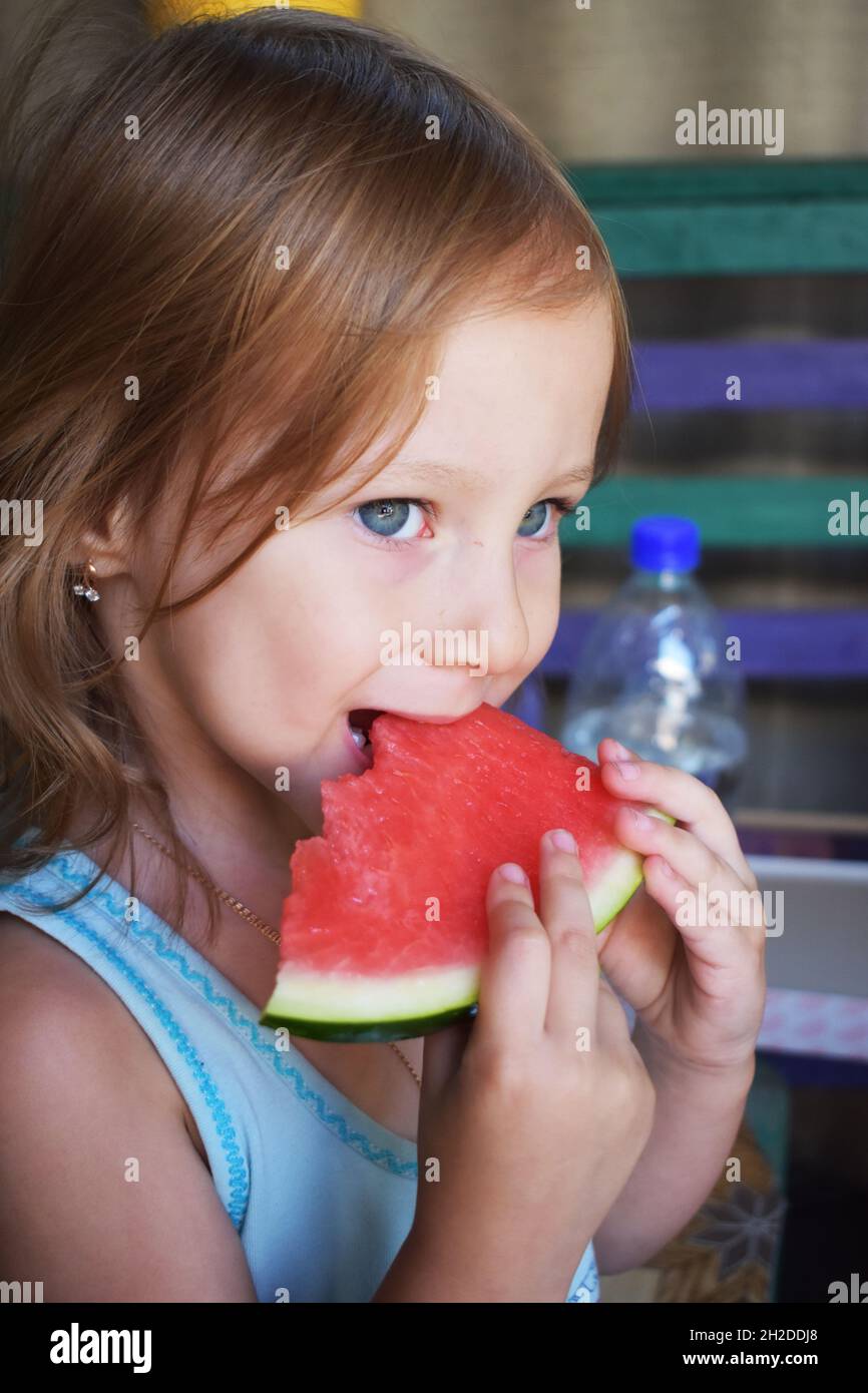 ANGURIA LA FRUTTA BERRY ESTATE Foto Stock