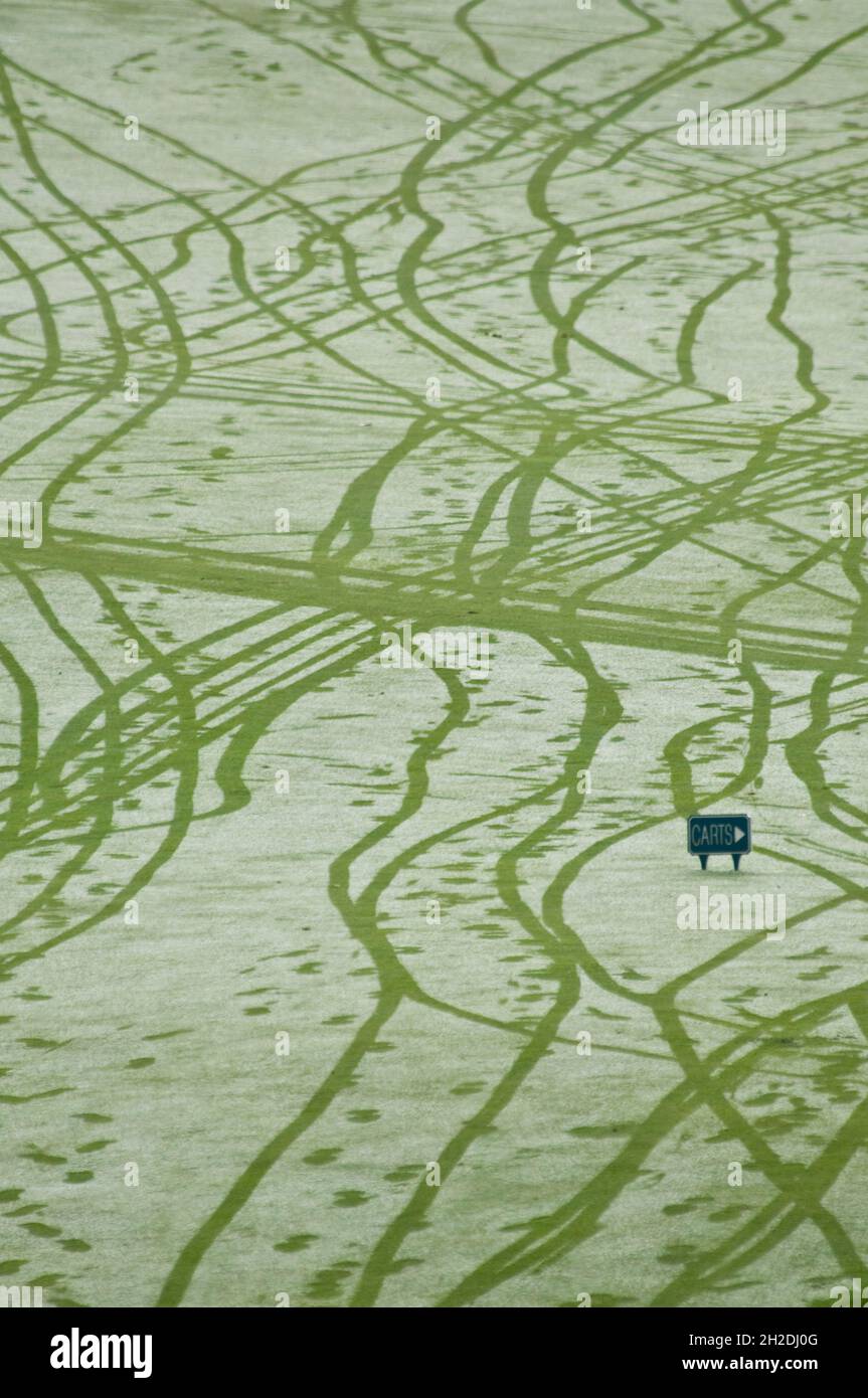 Impronte e tracce di pneumatici sul fairway di un campo da golf la mattina presto in ottobre Foto Stock