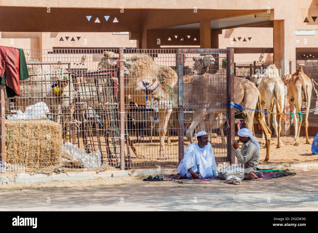 AL AIN, Emirati Arabi Uniti - 8 MARZO 2017: Venditori di cammelli al mercato animale di al Ain, Emirati Arabi Uniti Foto Stock