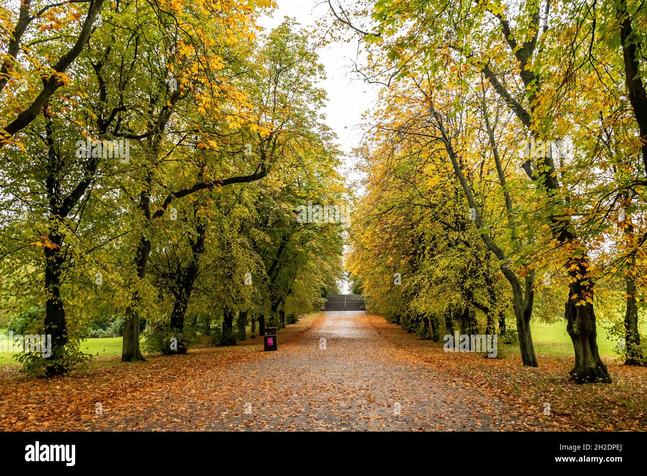 Queen's Park guardando a sud dall'ingresso di Victoria Road. È la metà dell'autunno e il sentiero è coperto di foglie dagli alberi sovrastanti. Foto Stock