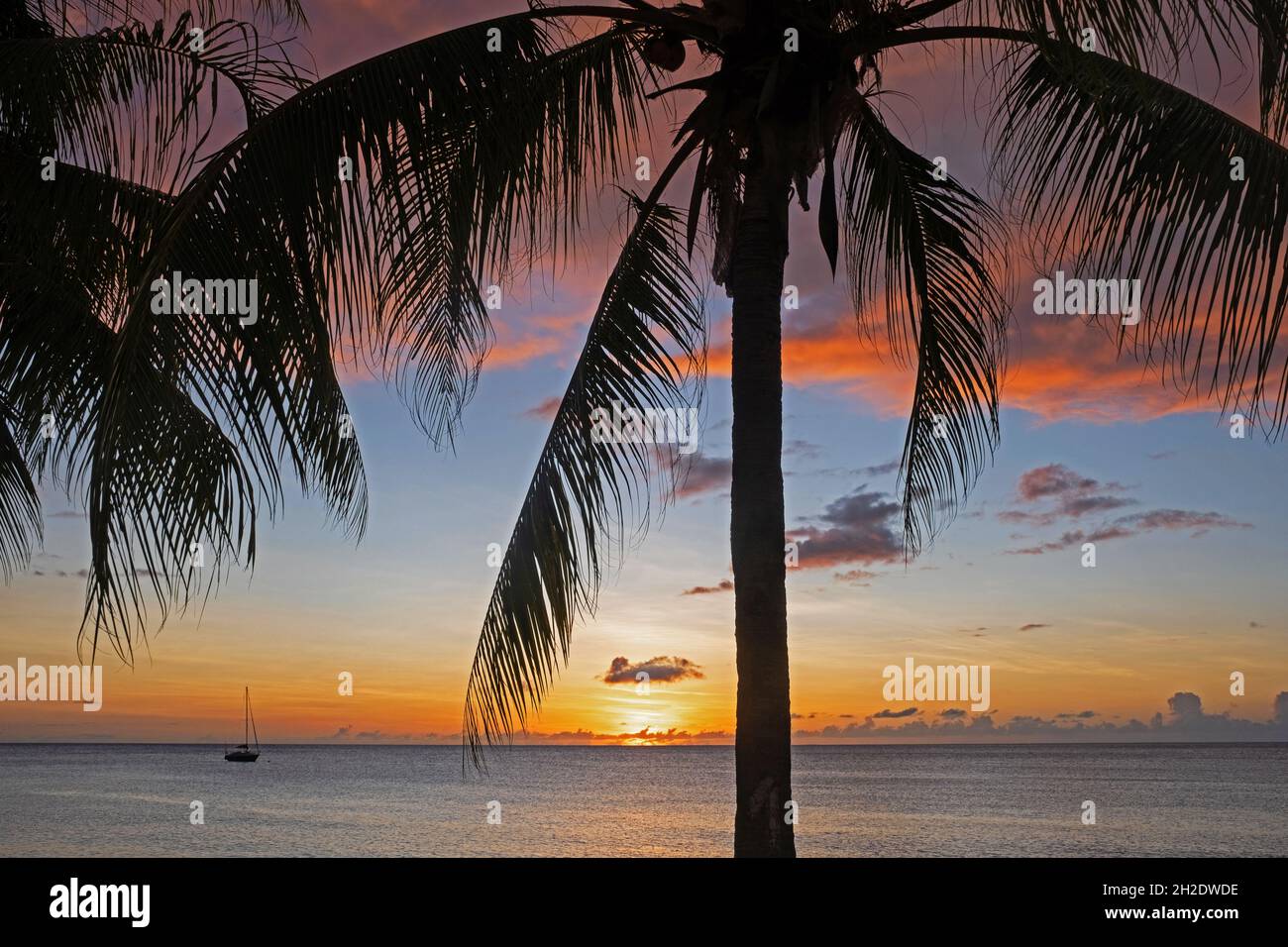 Barca a vela ancorata e palme si staglia contro il cielo del tramonto lungo la costa occidentale dell'isola francese della Martinica nel Mar dei Caraibi Foto Stock