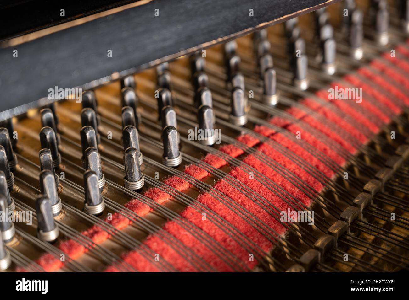 Vista ravvicinata di spilli o pioli con corde e feltro rosso all'interno di un vecchio pianoforte, parte dello strumento musicale acustico, fuoco selezionato, stretto d Foto Stock