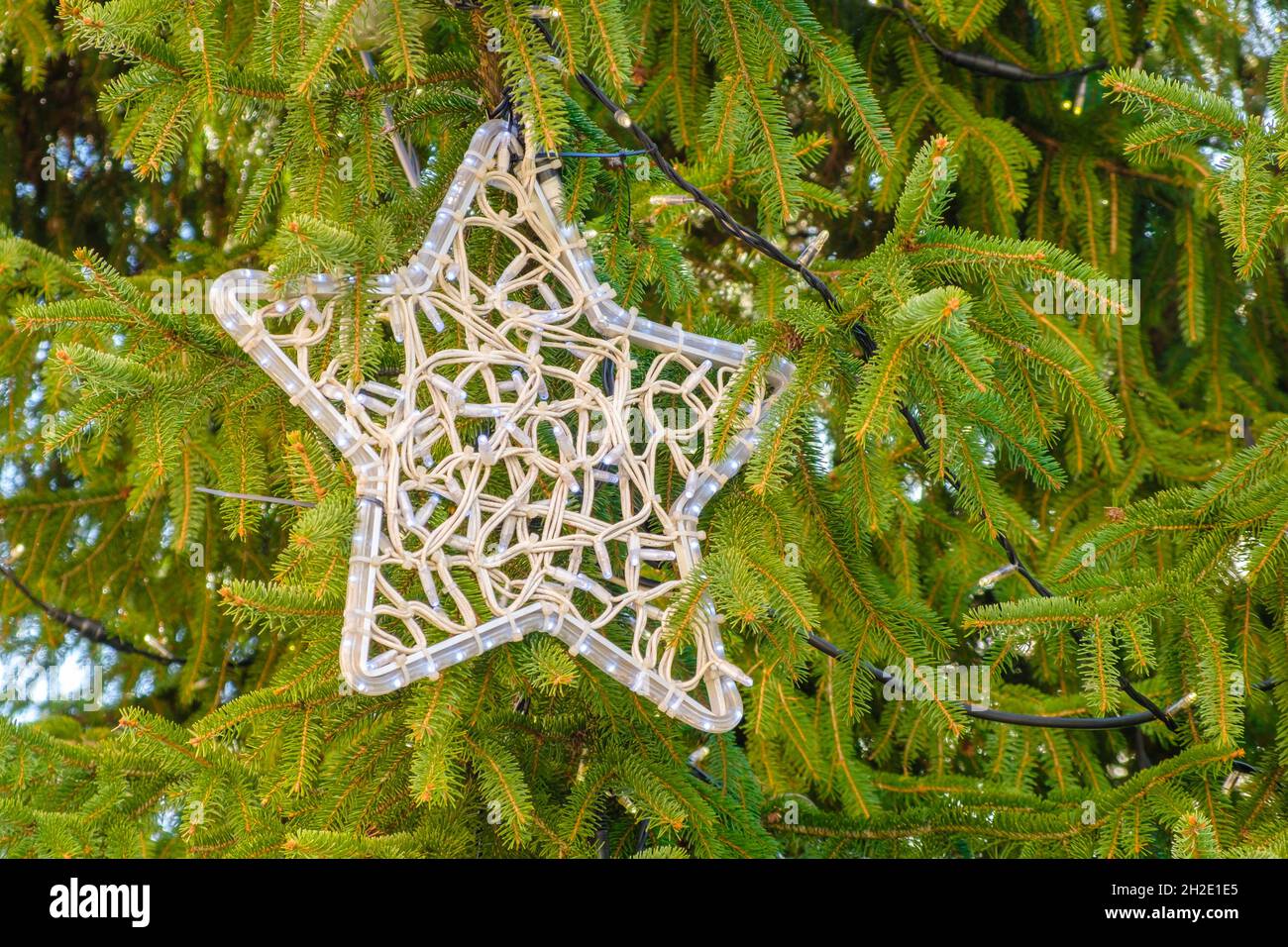 Grande stella sull'albero di Natale in strada. Preparazione alle feste di Natale. Foto Stock