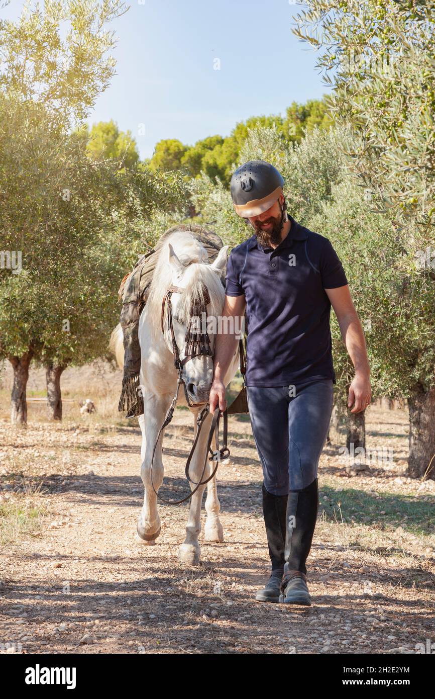 Un uomo caucasico in vestiario equestre e casco sta camminando con il suo cavallo bianco attraverso un campo di ulivi, tenendolo per le redini. Foto Stock