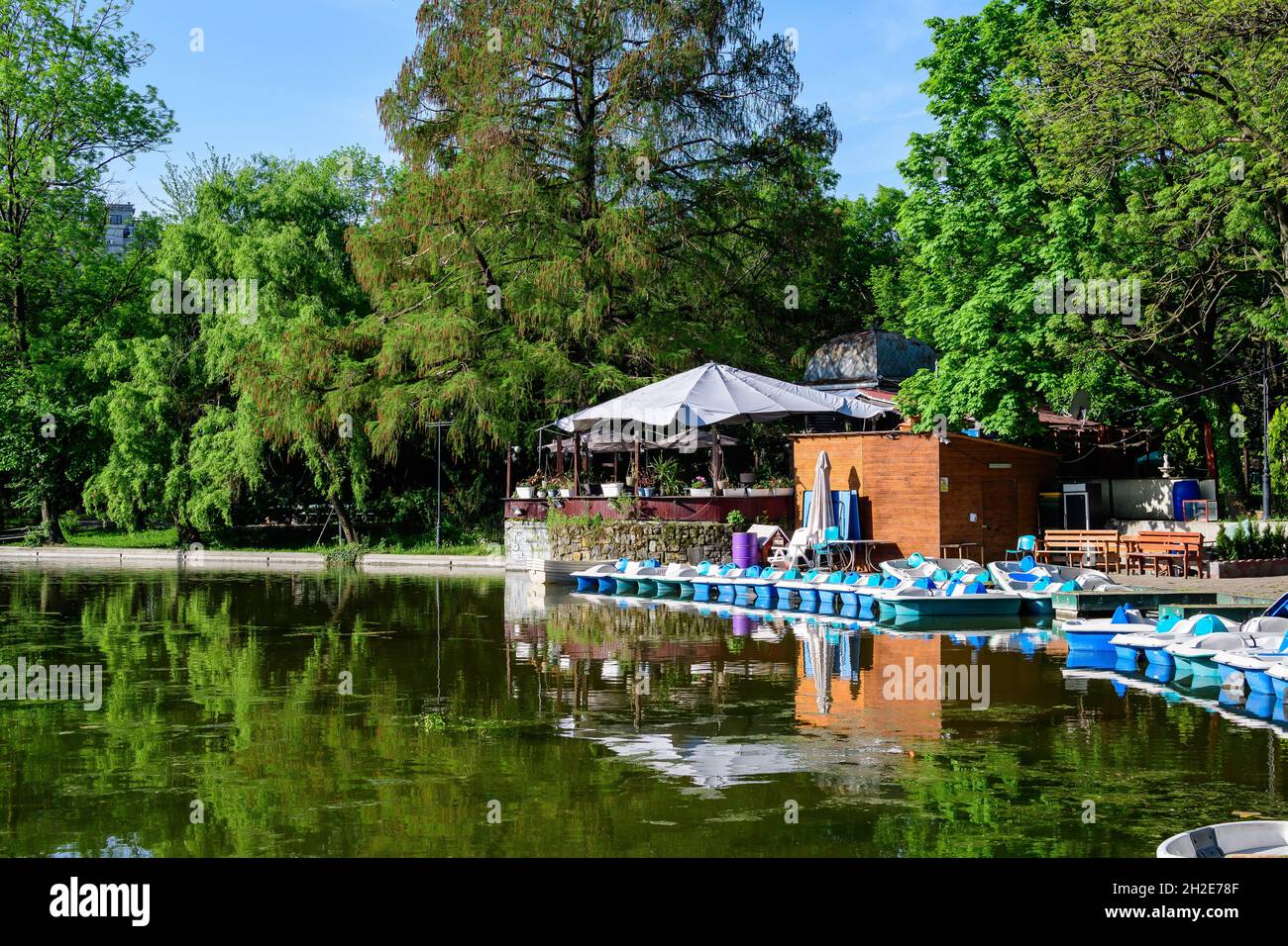 Paesaggio verde vivace con vecchi alberi di tiglio e piccole barche vicino al lago nel Giardino di Cismigiu (Gradina Cismigiu), un parco pubblico nel centro della città Foto Stock