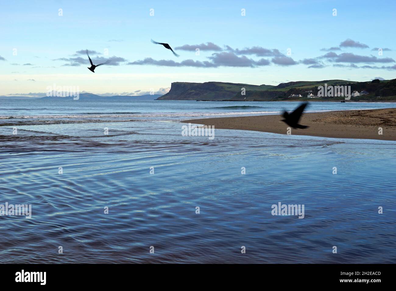 Ballycastle Bay con Fair Head Cliffs sullo sfondo e tre corvi volanti. Contea di Antrim, Irlanda del Nord Foto Stock