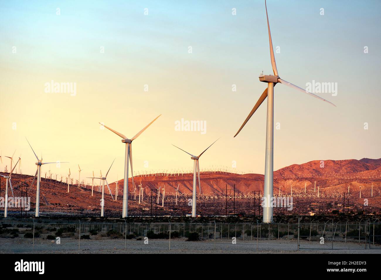 Turbine eoliche che generano energia elettrica nel deserto della California meridionale Foto Stock