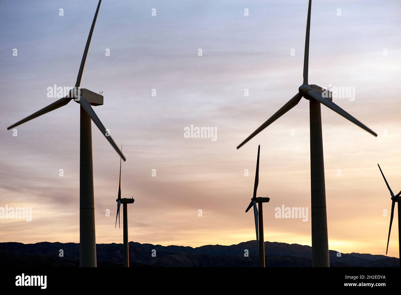 Turbine eoliche che generano energia elettrica nel deserto della California meridionale Foto Stock