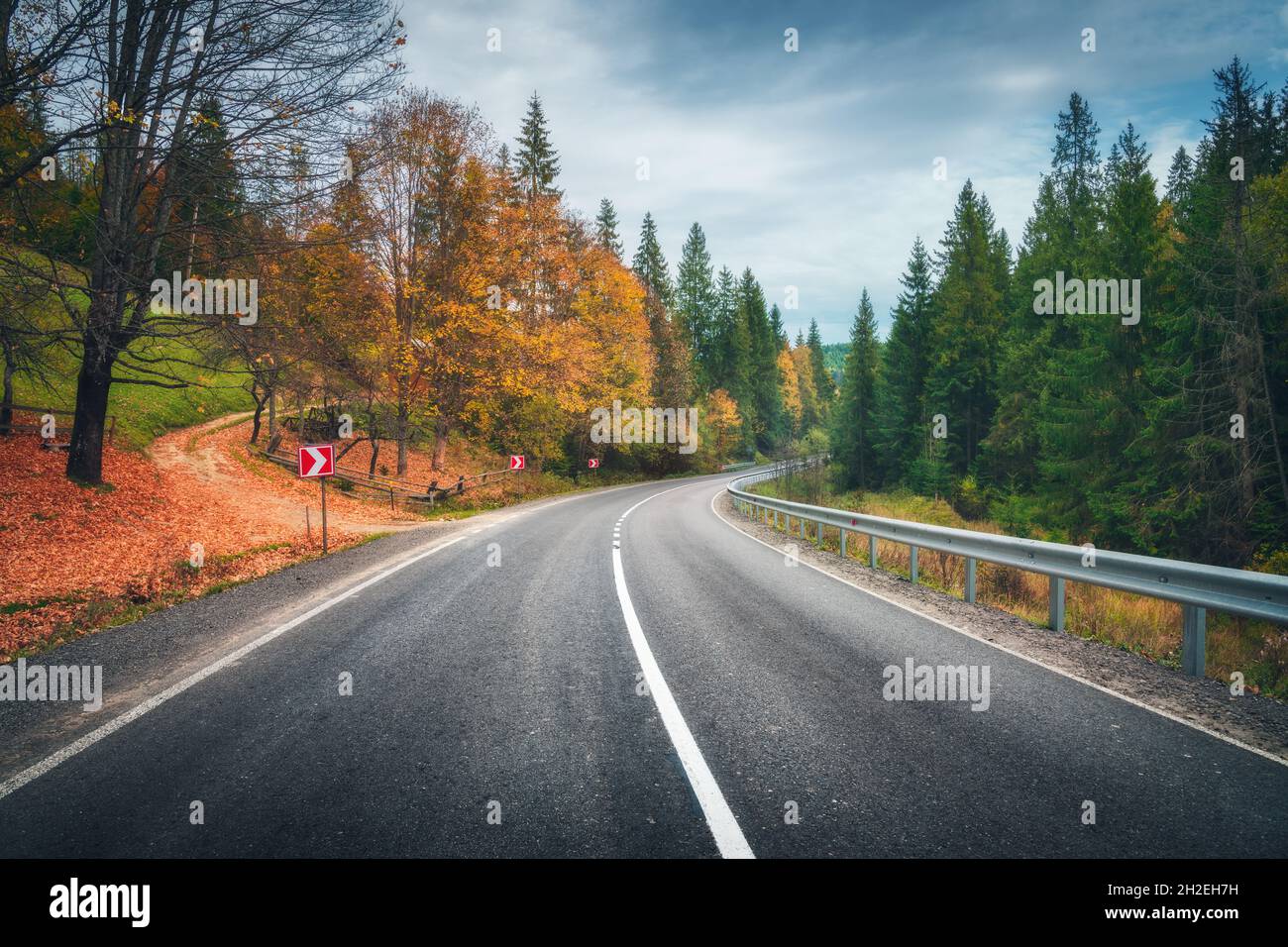 Strada in autunno foresta. Bella strada di montagna vuota Foto Stock
