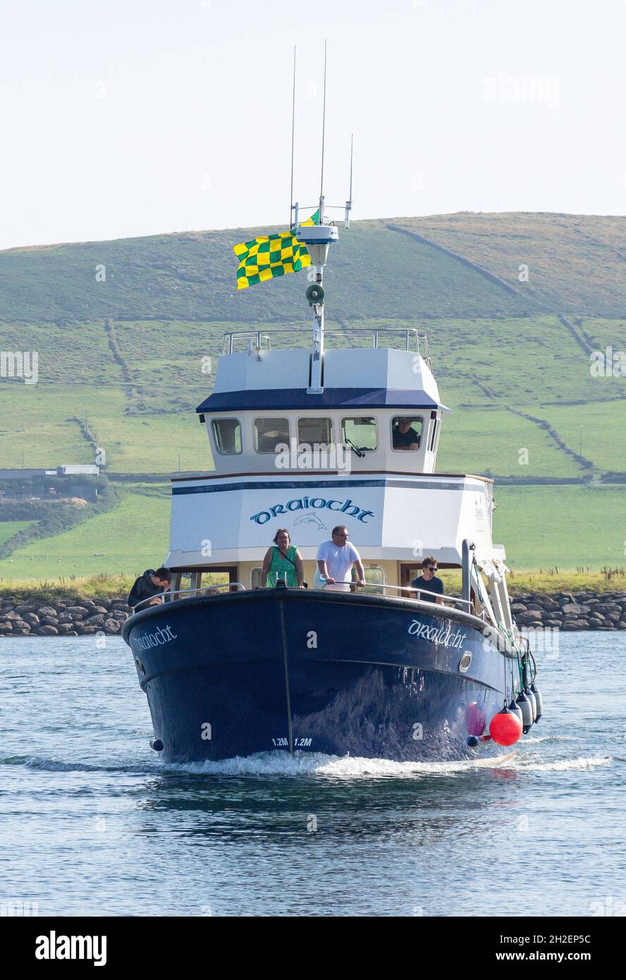 La nave passeggeri 'Draiocht' per l'osservazione dei delfini che ritorna a Dingle Marina, Dingle (un Daingean), Penisola di Dingle, Contea di Kerry, Repubblica d'Irlanda Foto Stock