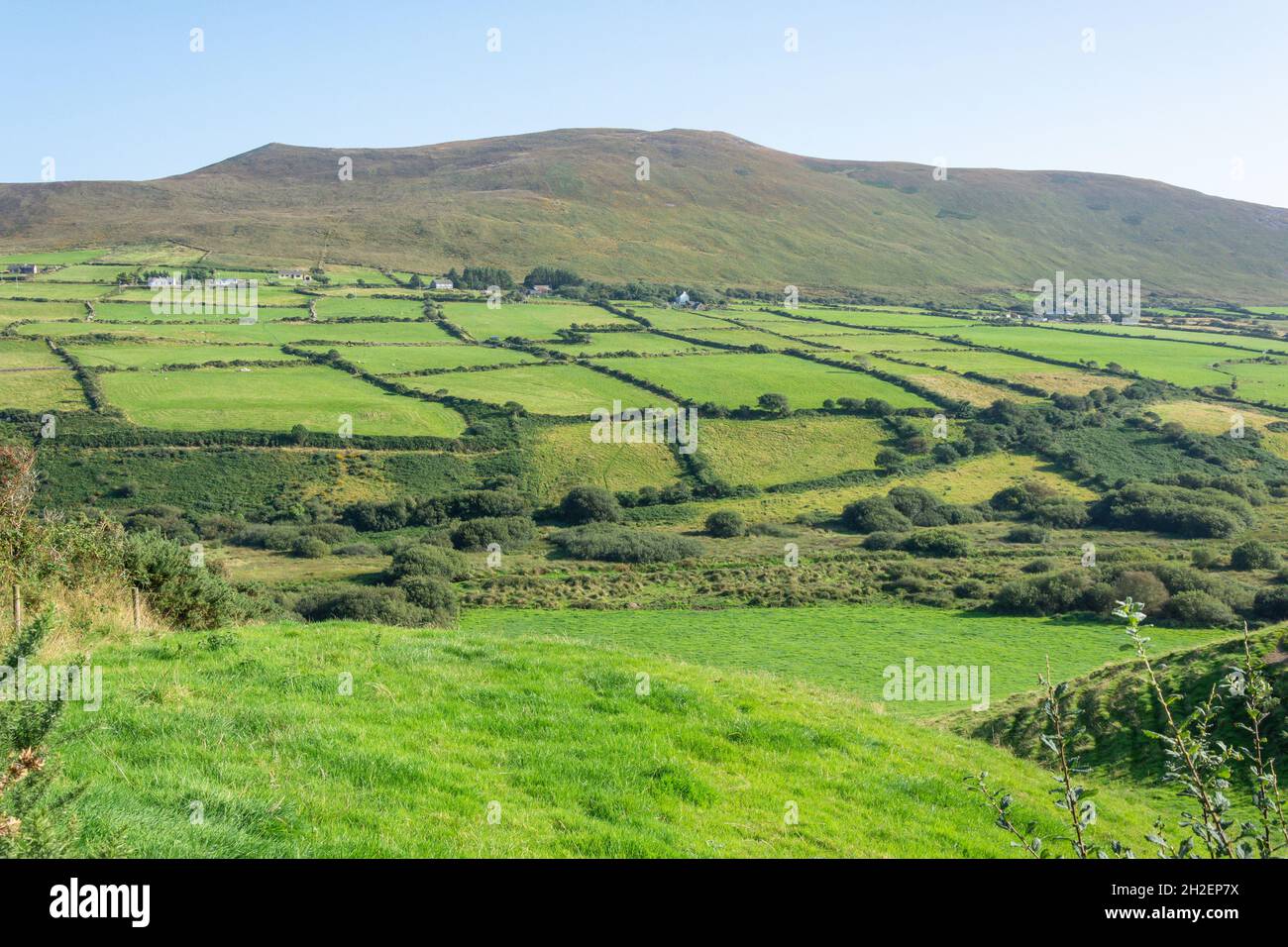 Vista panoramica della campagna, Penisola di Dingle (Corca Dhuibhne), Contea di Kerry, Repubblica d'Irlanda Foto Stock