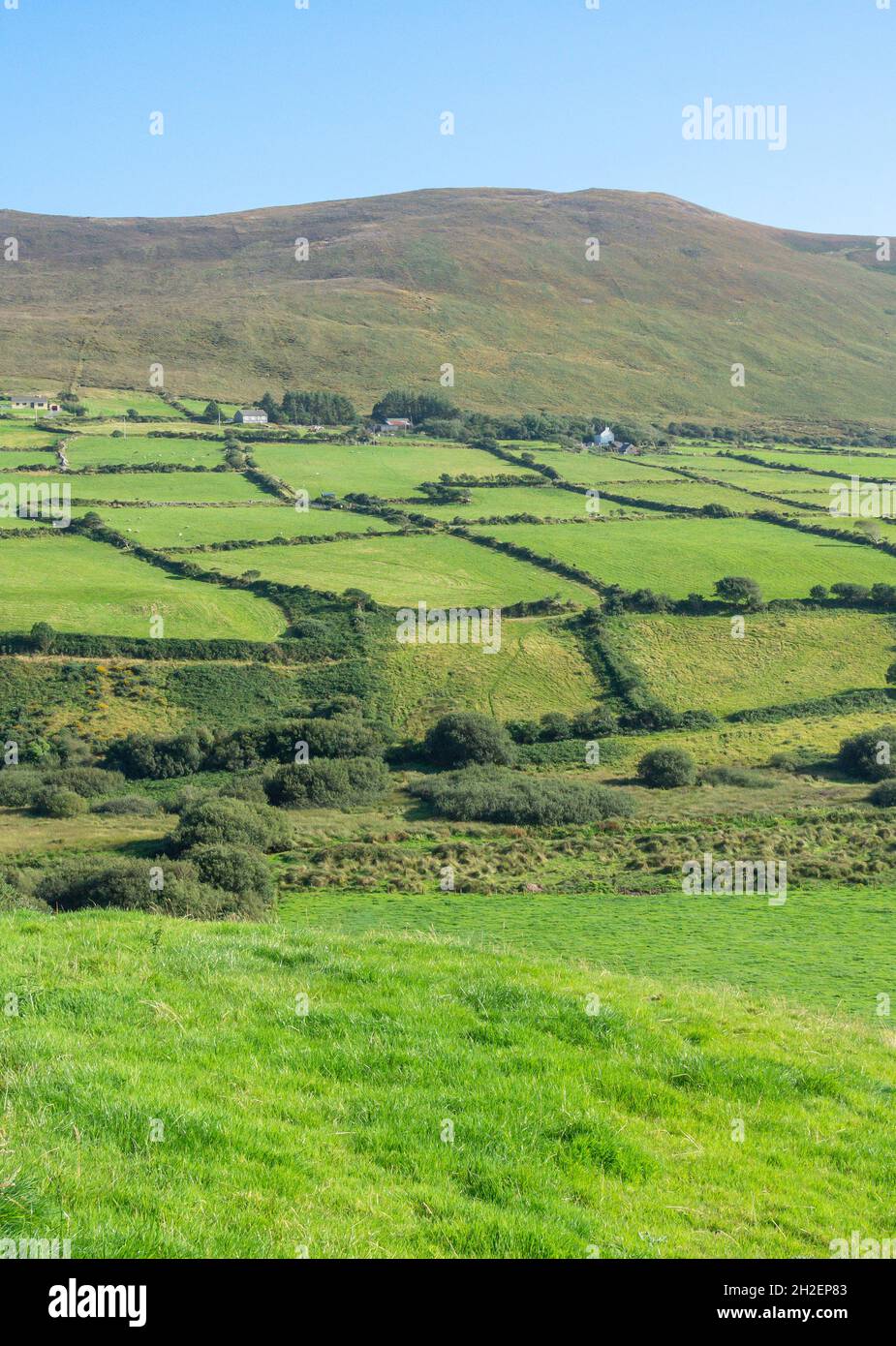 Vista panoramica della campagna, Penisola di Dingle (Corca Dhuibhne), Contea di Kerry, Repubblica d'Irlanda Foto Stock