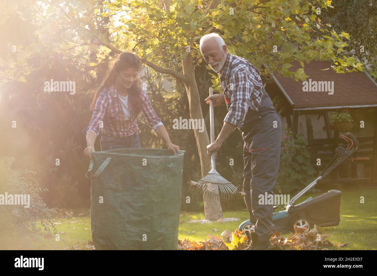 Padre e figlia che raccolgono foglie in giardino in autunno Foto Stock