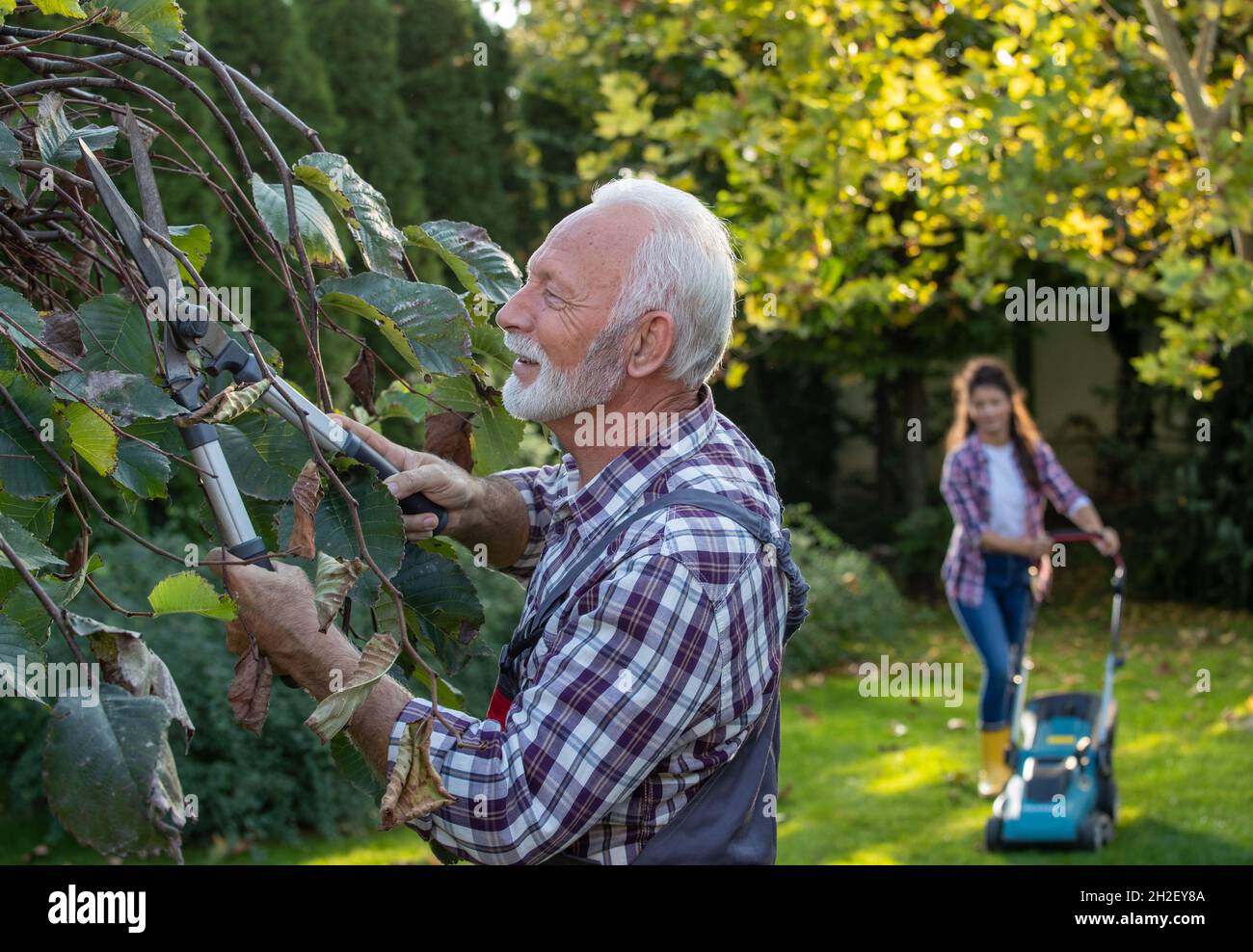 Vecchio albero potante mentre la figlia aiuta con il rasaerba in giardino Foto Stock