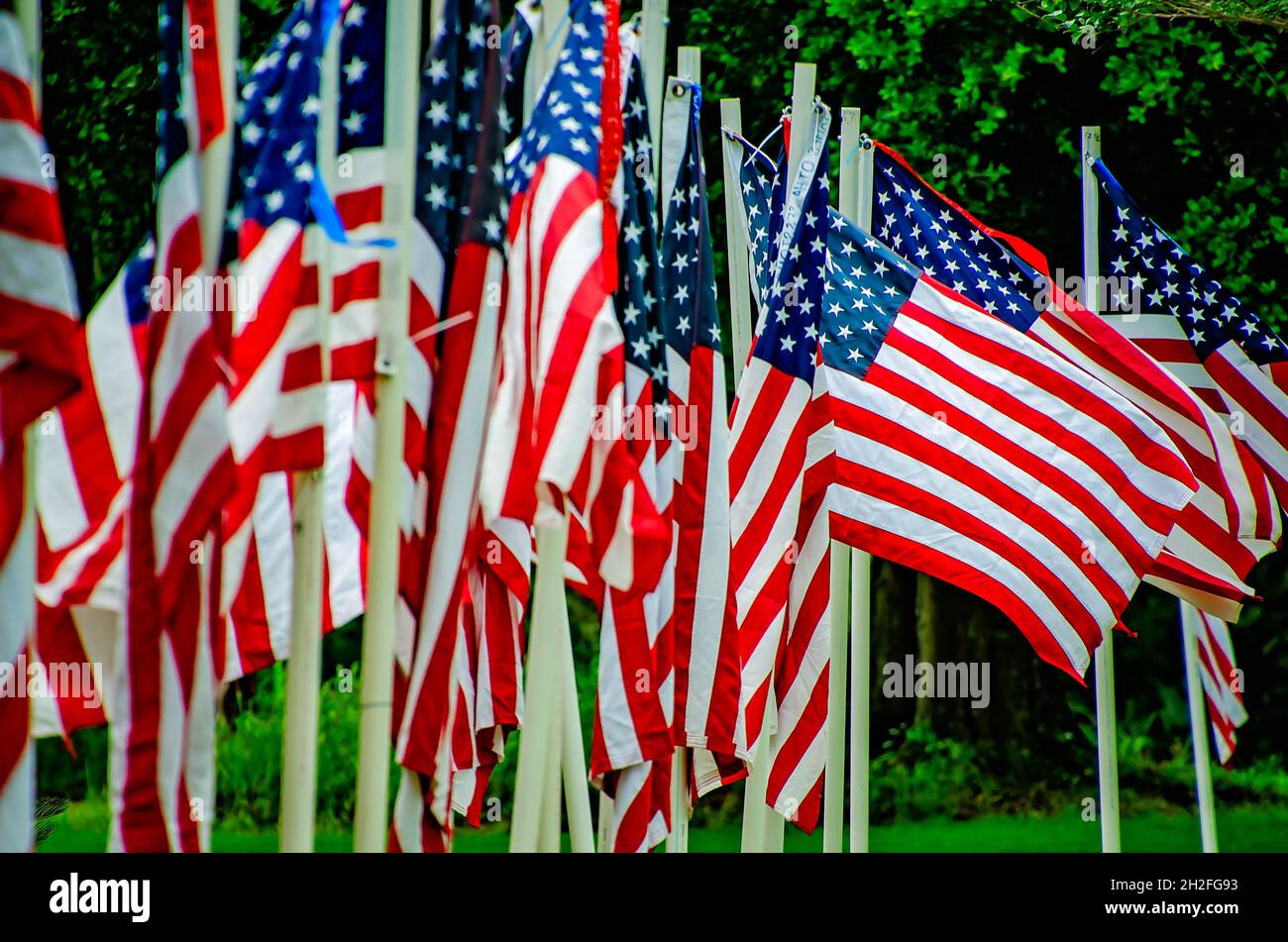 Le bandiere americane sono raggruppate in un'esposizione stradale per il 4 luglio, 3 luglio 2021, a Grand Bay, Alabama. Foto Stock