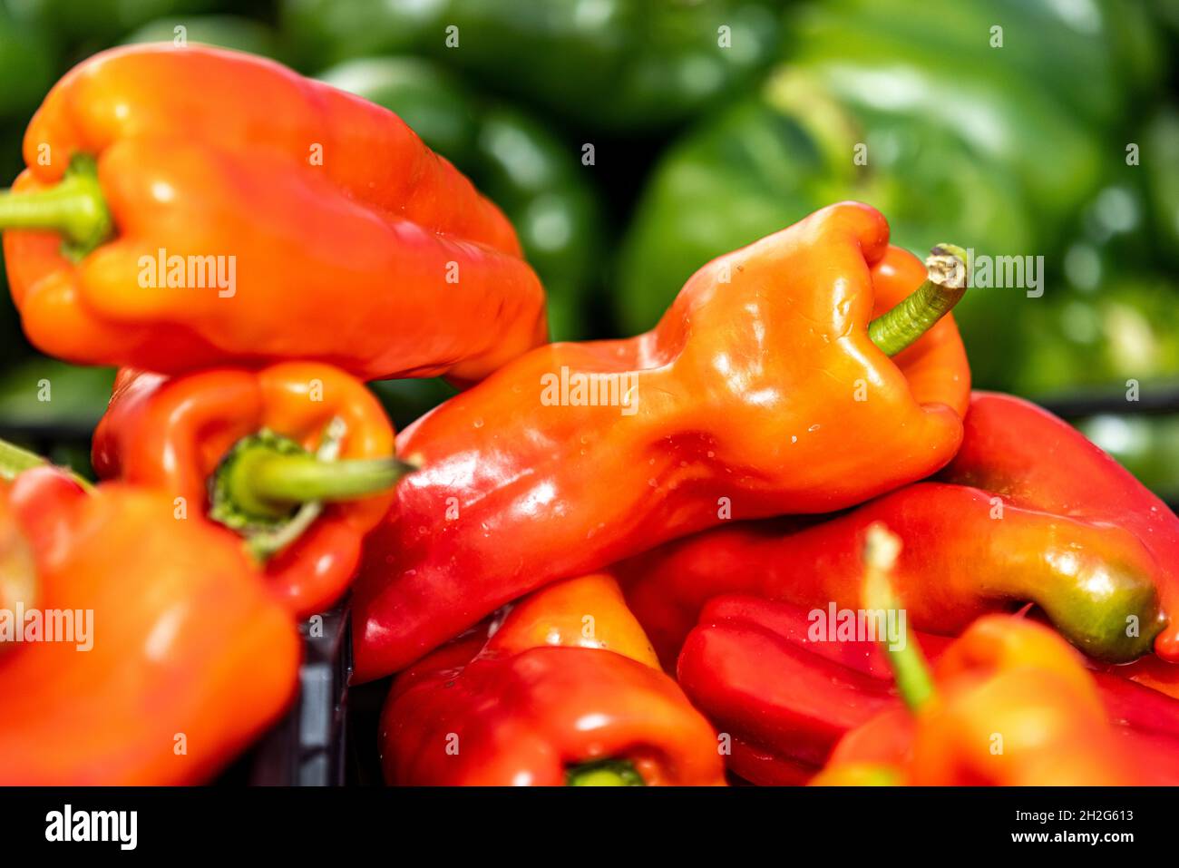 Peperoni rossi in mostra presso un mercato agricolo in Union Square a New York City. Foto Stock