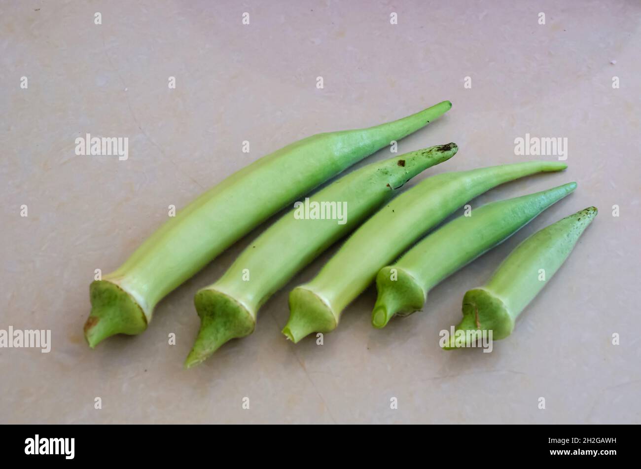 Okra matura su sfondo bianco Foto Stock