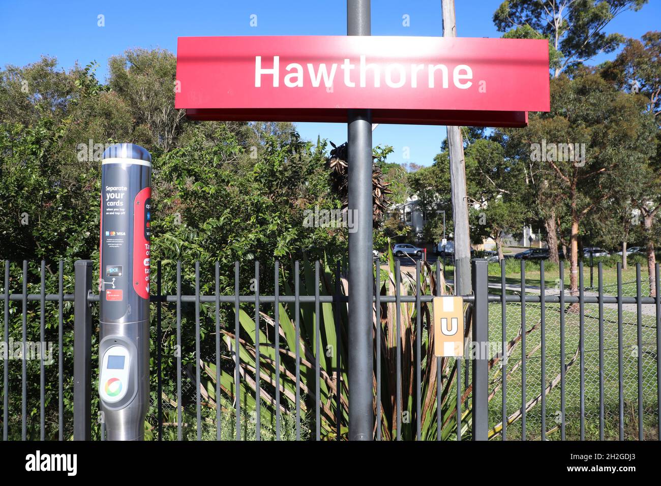 Hawthorne Light Rail Station a Leichhardt, Sydney, NSW, Australia Foto Stock